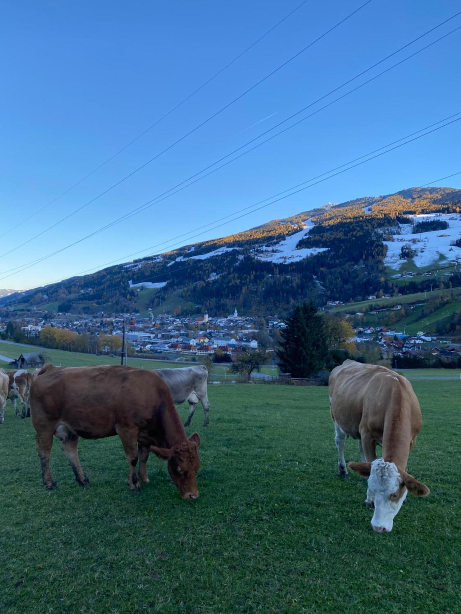 Reithabhof Apartments Schladming Zewnętrze zdjęcie